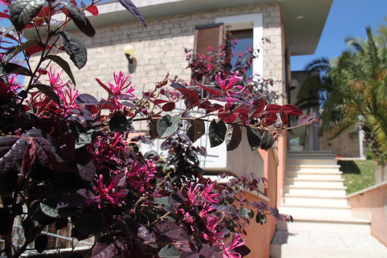 Villino Con Piscina Villa Terni Exterior photo